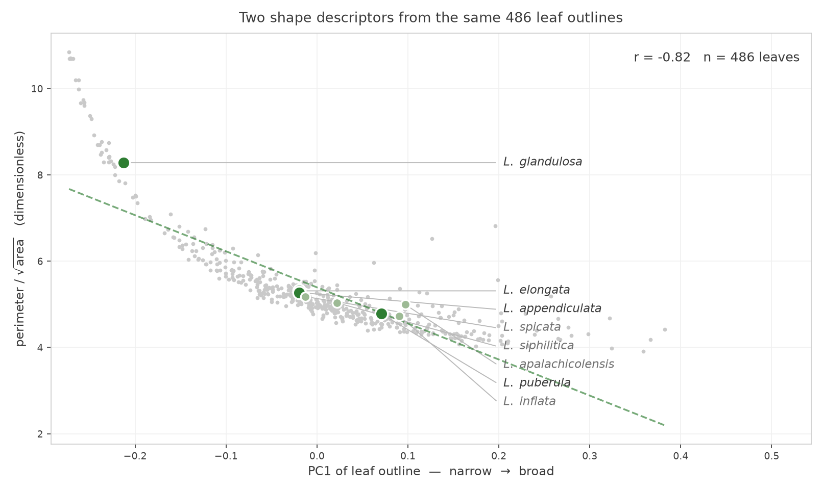 Scatter of perimeter over square-root of area against PC1 of leaf outline for 486 leaves, showing a strong negative relationship, with species means labelled by leader lines and Lobelia glandulosa a clear outlier at the narrow end.