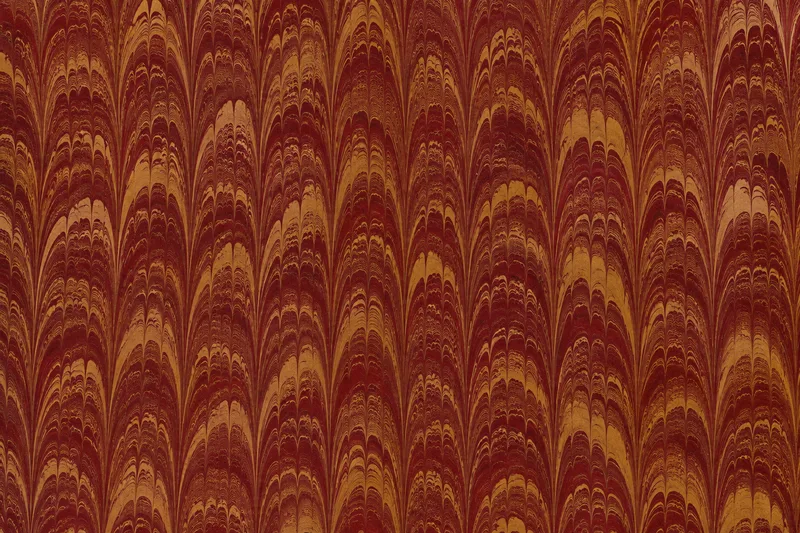 GPT-6-Astra: four images from GPT's built-in image model